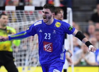 Fabregas forfait pour la Lituanie et la Roumanie