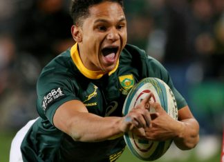 Les Boks ont muselé les All Blacks