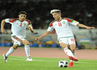 Deux lions dans l’équipe type de la Bundesliga