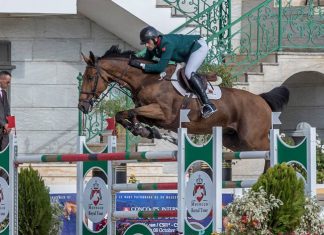 Morocco Royal Tour de saut d’obstacles (étape de Rabat): La sélection égyptienne remporte la Coupe des Nations