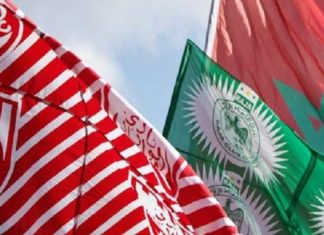 Le «derby de l’Afrique» peut s’inviter en finale de la LDC