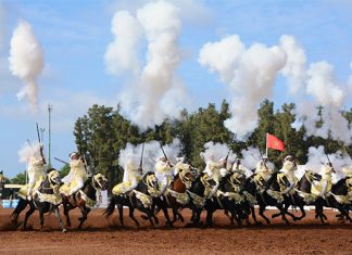 Coronavirus: Annulation de la 21è édition du Trophée Hassan II des arts équestres traditionnels “Tbourida”