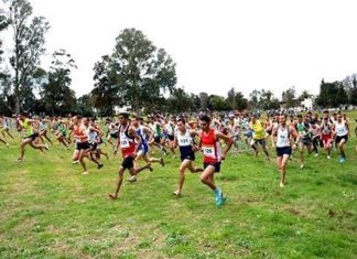 Athlétisme : World Athletics ambitionne de révolutionner le cross-country