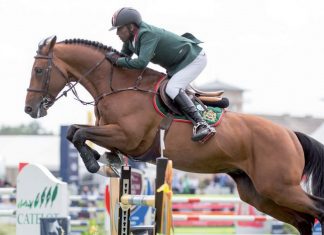 Saut d’obstacles : Le Maroc présent aux JO-2020 de Tokyo