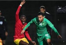 الكاميرون تضع تذاكر مباريات الشان للبيع