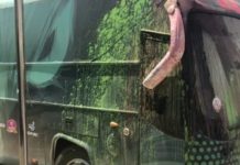 استنفار أمني بالرباط بعد تعرض حافلة الرجاء للتخريب