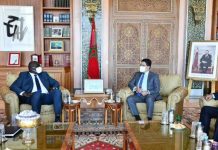 بالصور.. رئيس الاتحاد الإفريقي لكرة اليد بالمغرب