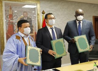 Handball: La tenue de la CAN à Laâyoune et Guelmim confirmée