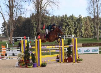 Championnat du Maroc de saut d’obstacles : Zayd Reifhi Al Alaoui sacré dans la catégorie juniors