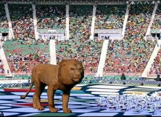 Vidéo. CAN 2022: Une cérémonie d’ouverture haute en couleurs et en musique