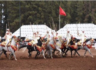 انطلاق منافسات جائزة الحسن الثاني للتبوريدة
