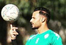 بوطويل إلى صن داونز الجنوب أفريقي