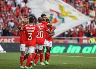 C1: Benfica favori devant Kiev, le PSV Eindhoven méfiant face aux Rangers