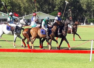 Coupe du trône de polo : la première édition du 15 au 18 septembre