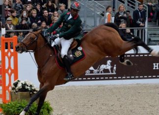 Garde Royale: La 1-ère étape du 11è Concours international de saut d’obstacles en octobre à Tétouan