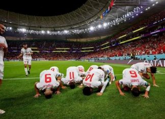 هكذا تفاعل الأسود بعد المباراة التاريخية أمام بلجيكا