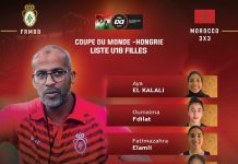 كرة السلة الثلاثية .. الأسود واللبؤات في بطولة العالم