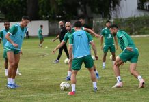 أسود الأطلس يلتحقون بالمعسكر الإعدادي استعدادا لكأس أمم إفريقيا