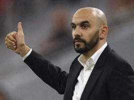 مصادر: “الركراكي له طموحات مع المنتخب المغربي واستحقاقات كبيرة”